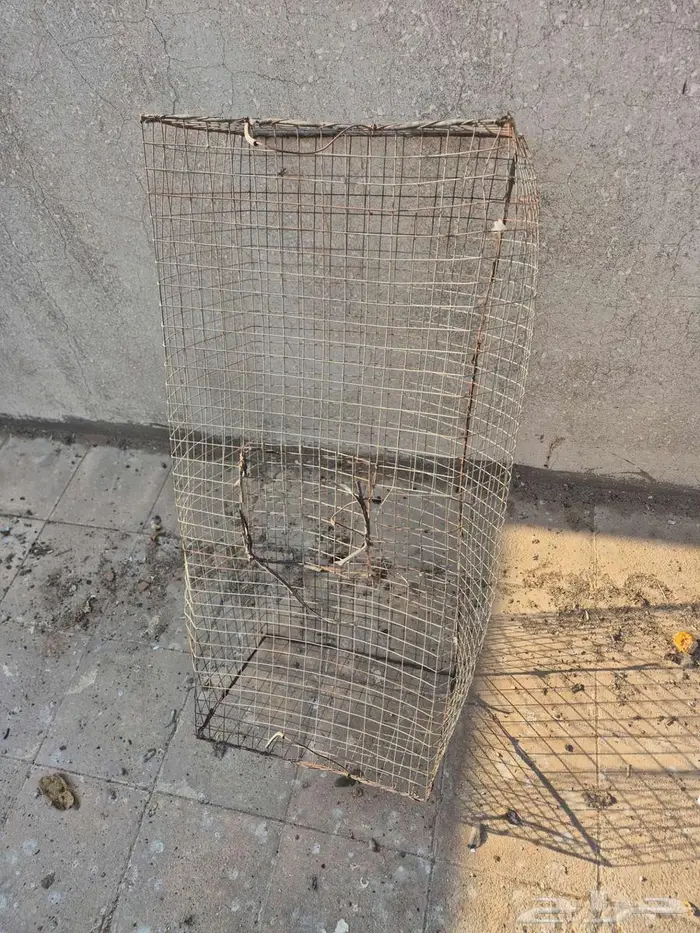 قفص حيوانات 0