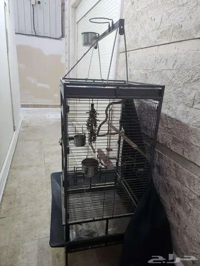 قفص بغبغاء كبير للبيع index