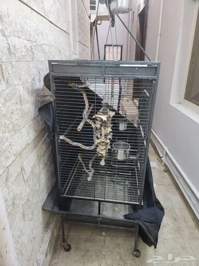 قفص بغبغاء كبير للبيع index