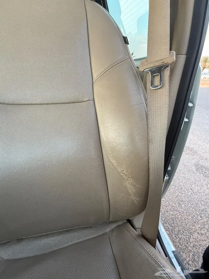 سييرا دينالي 2013 10