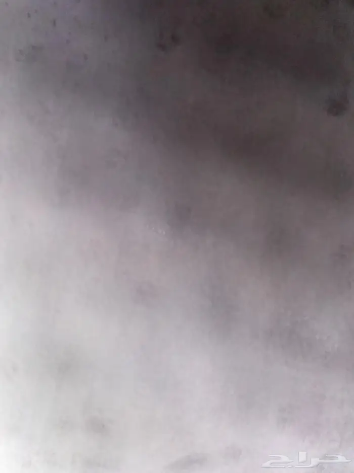 مطلوب زوج صنعاني مطلوب زوج صنعاني 0