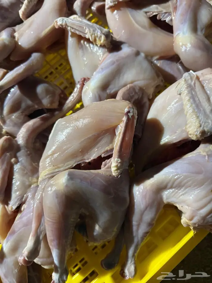 انتاج بط دجاج أرنب للبيع بيض مخصص مذبوح دجاج بط و ارنب 6