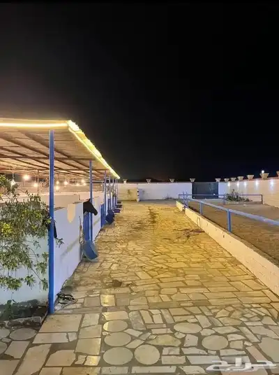 اسطبل الكيان للإيواء وخدمات الخيل index