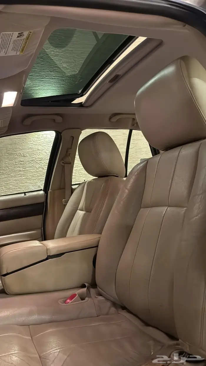 جراند ماركيز 2011 قمة النظافة 16