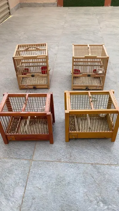 شبوك عصفير خشب نوعيه فاخره index