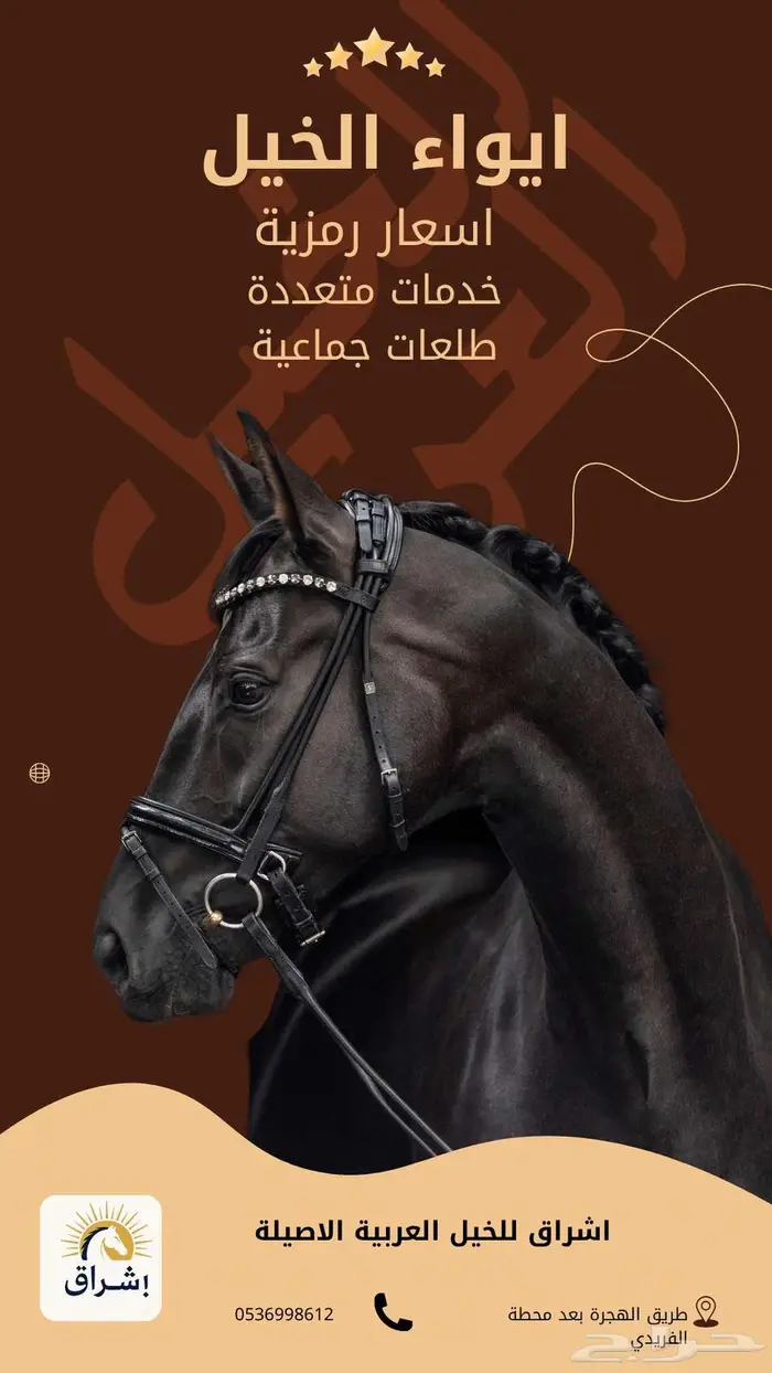 ايواء خيل 0