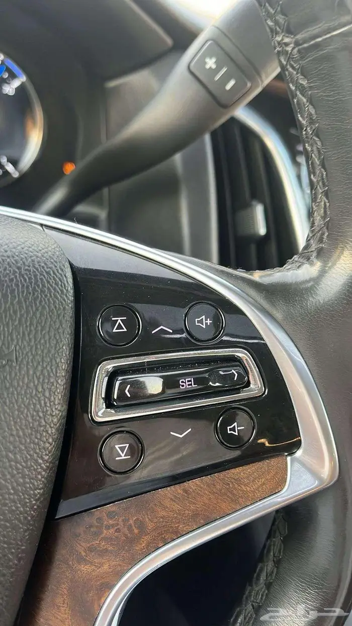 كاديلاك اسكاليد 2020 10