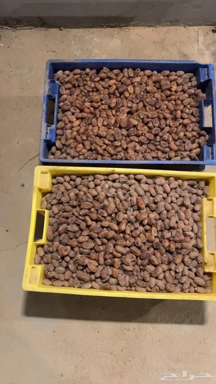 تمر خلاص حبه وسط 0