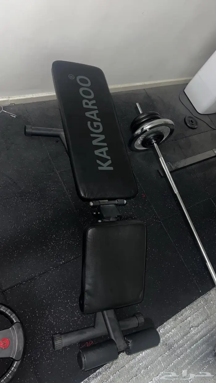 اوزان اولومبية  بار اولومبي  سكوات راك  بنش وستيب 2