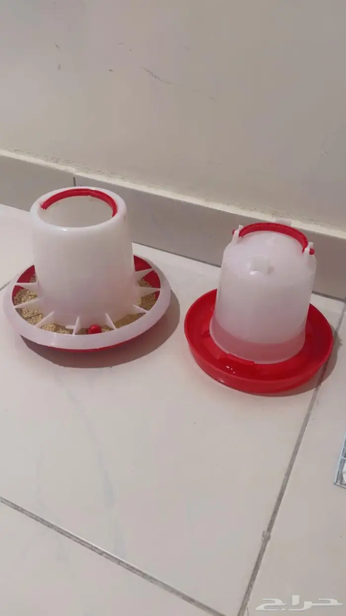 بطه بكين للبيع مع القفص بصحه ممتازه 1