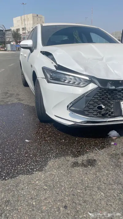 بي واي دي تشين بلس 2025 index