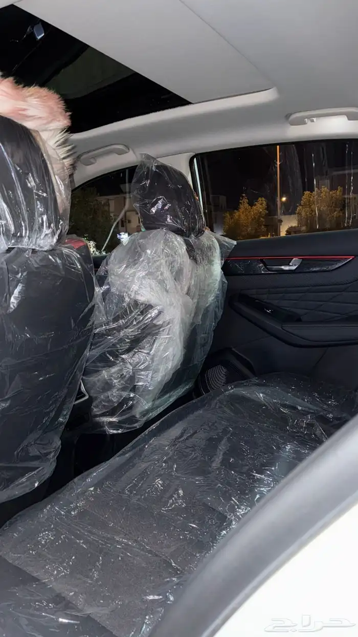 شاين ماكس دنق يونق 60 موديل 2024 17