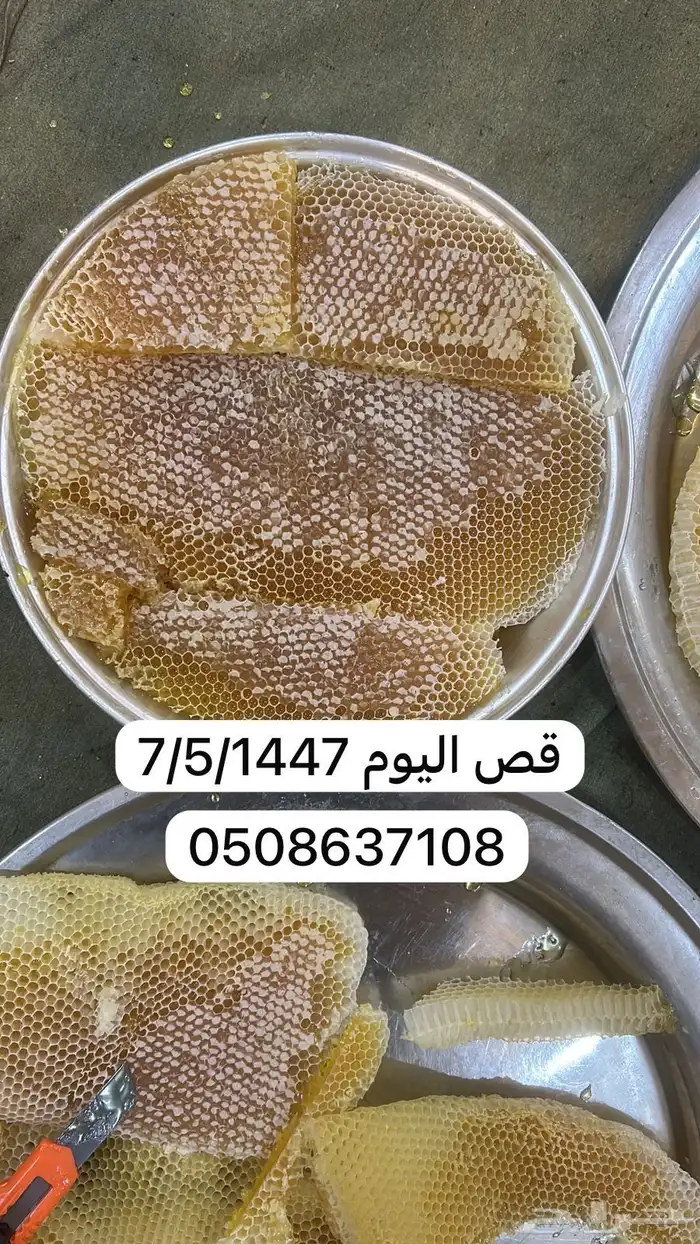 عسل سدر احمر عالي الجوده 4