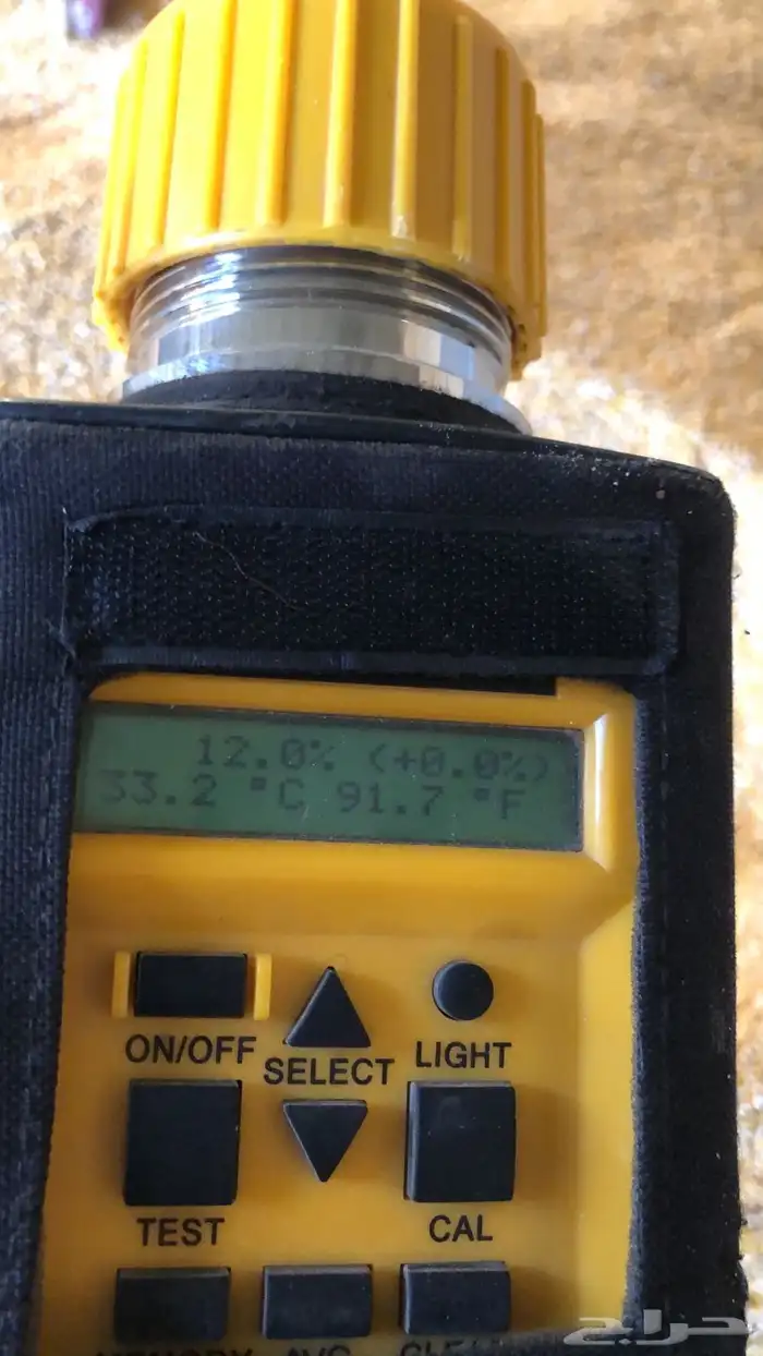 للبيع ذرة صفراء حب 2025 7