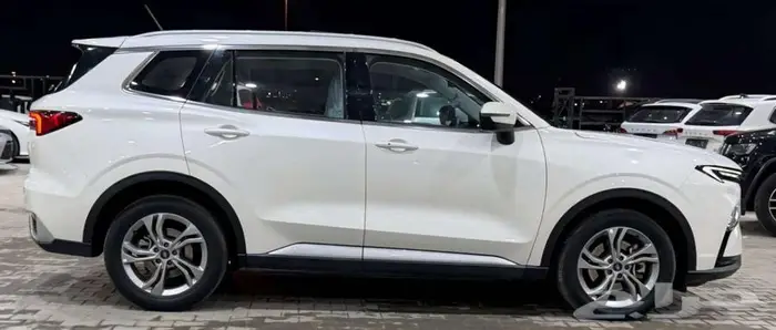 فورد تيريتورى 2023 4