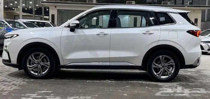 فورد تيريتورى 2023 3