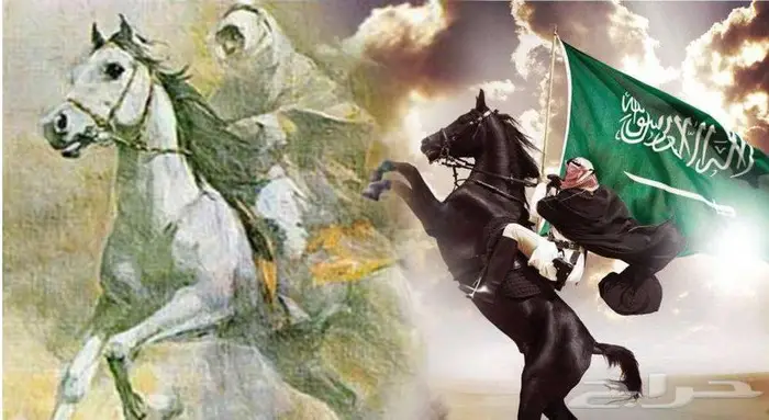 مصمم فيديو احترافي ومصمم شيلات 5