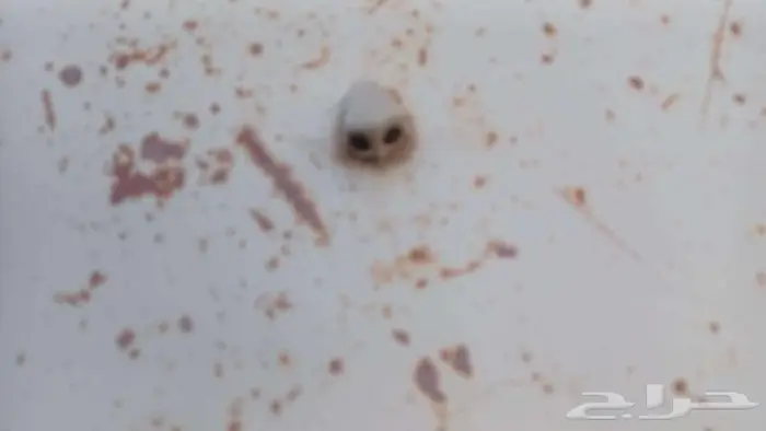 78 قطع هلكس من مديل 78وتحت كل القطع فيه 2