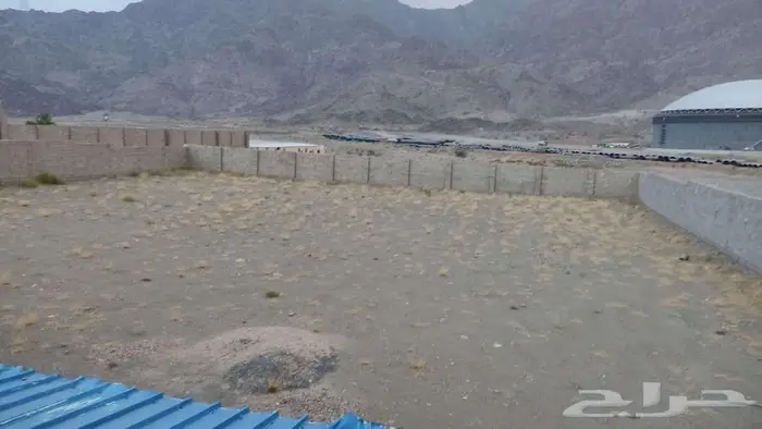 أرض سكنية للبيع بمخطط اطلال الراشدية بمساحة 1998.45 م 2