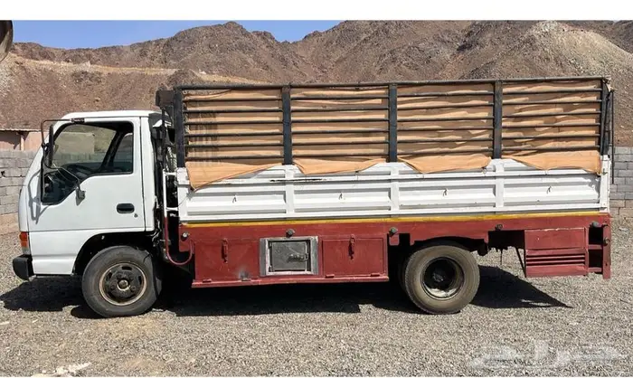 دينا صندوق ايسوزو 0