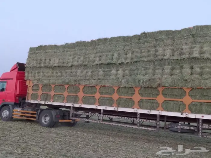 رودس ورق ناعم تم البيع 1