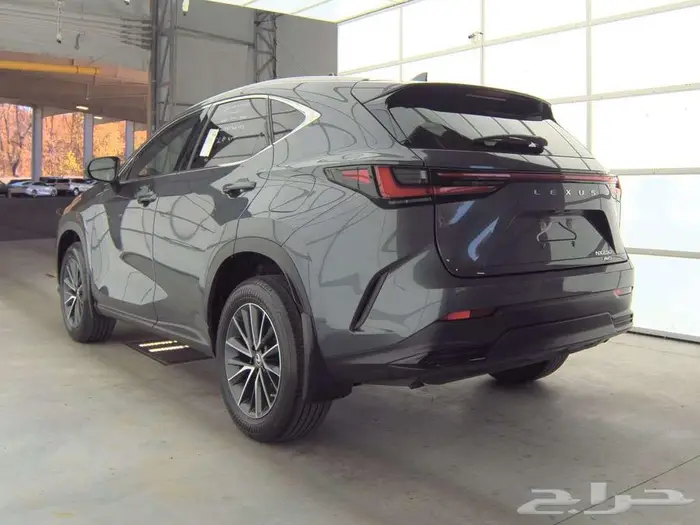 2022 Lexus NX NX 250 6