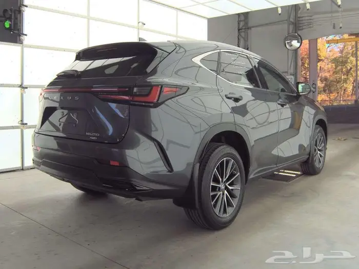 2022 Lexus NX NX 250 1