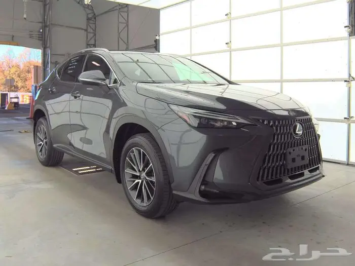 2022 Lexus NX NX 250 8