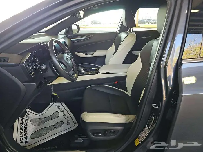 2022 Lexus NX NX 250 11