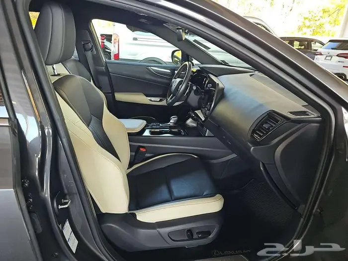 2022 Lexus NX NX 250 7