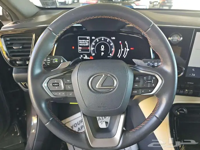 2022 Lexus NX NX 250 15