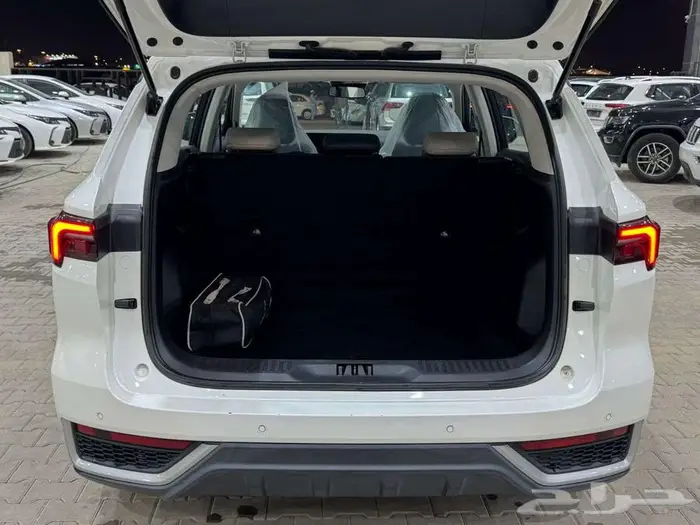 فورد تيريتورى 2023 8