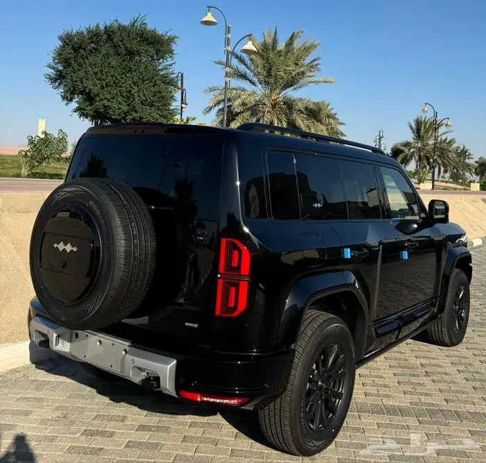 بي واي دي 2025 ليوبارد الترا 5 2