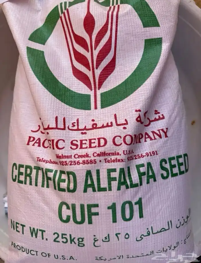 بذور برسيم امريكي كاف 101 1