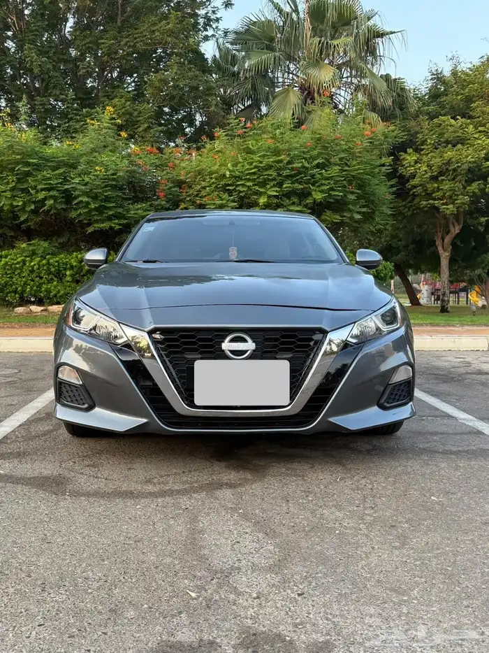 التيماء 2019 9