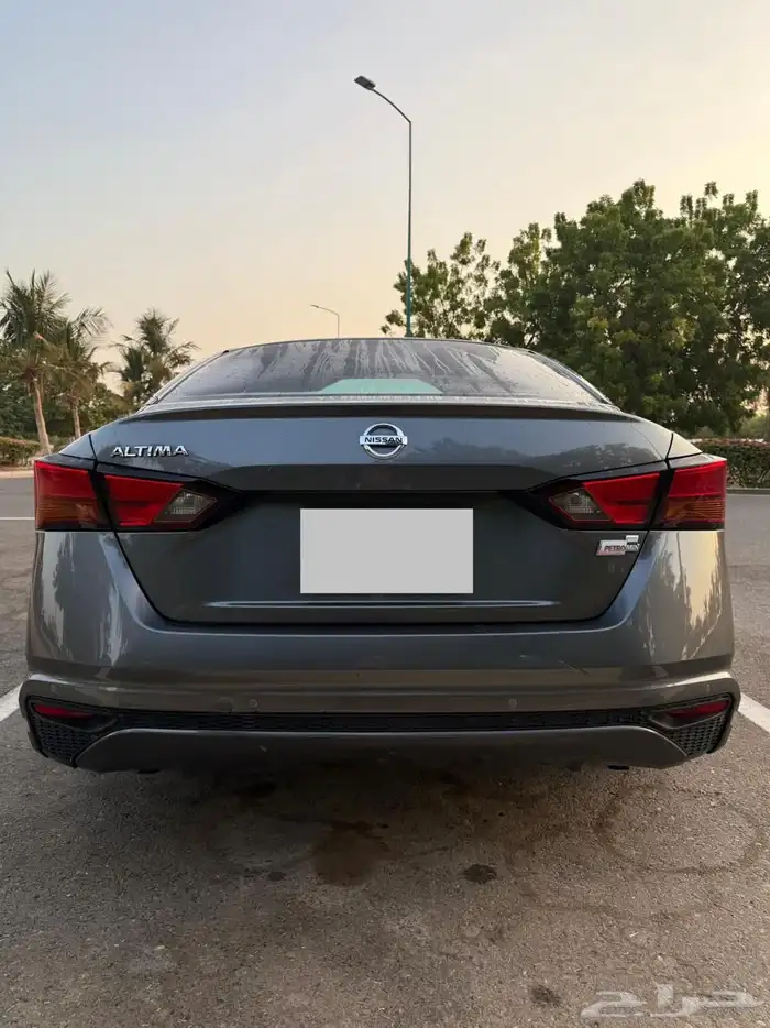 التيماء 2019 2