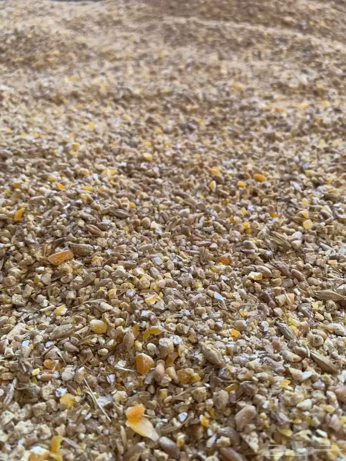 علف الخلطة المتوازنة للدواجن والطيور والحمام 0