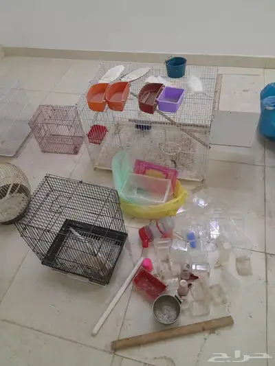 أقفاص نظيفه للبيع العدد 10 index