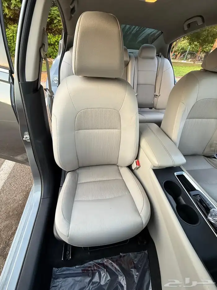 التيماء 2019 15