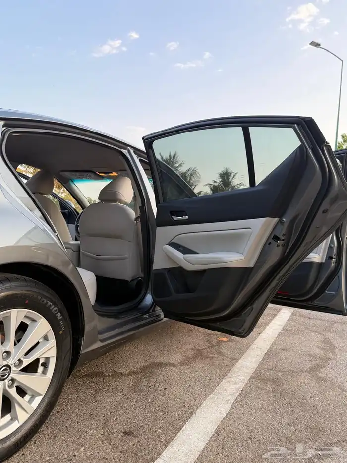 التيماء 2019 10