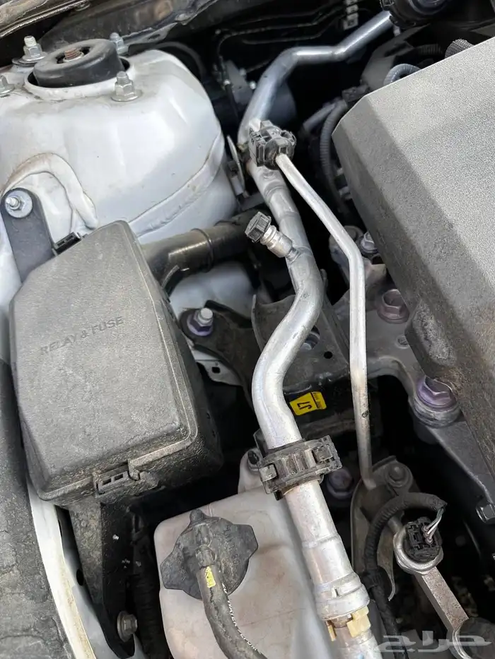 افالون تورنق 2021 بدي بلد 29