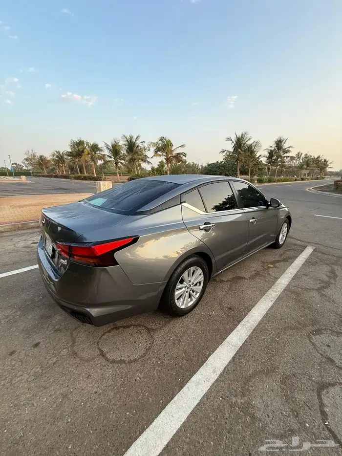 التيماء 2019 3