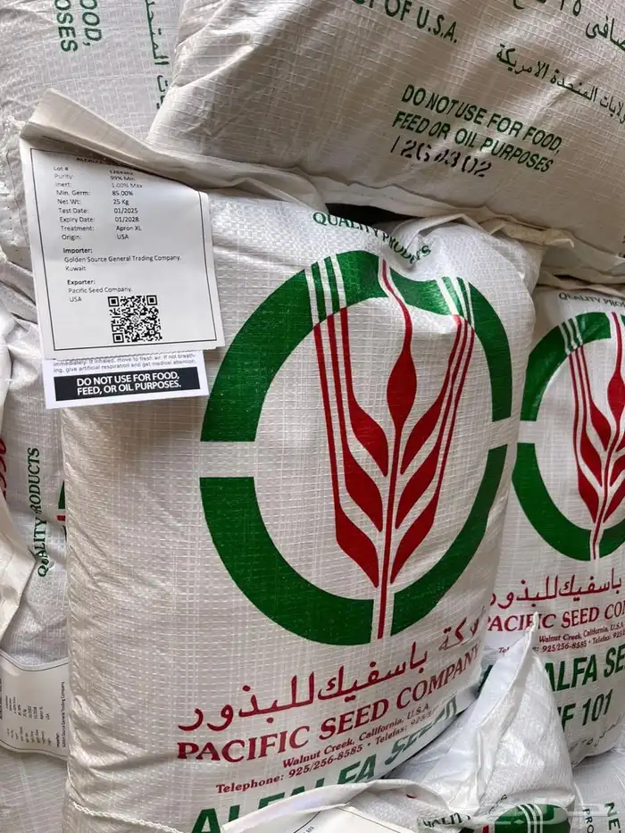 برسيم امريكي ك 101 0