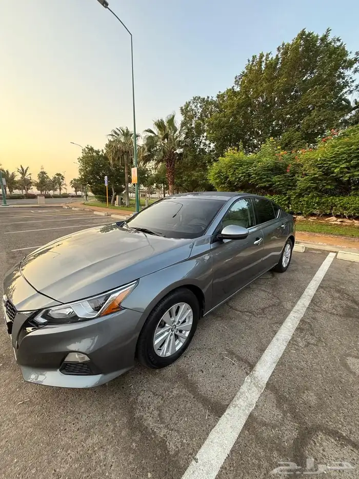 التيماء 2019 0