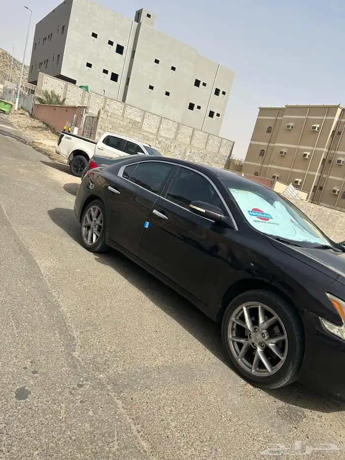 مكسيما فل كامل 1