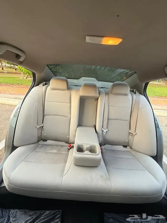 التيماء 2019 14