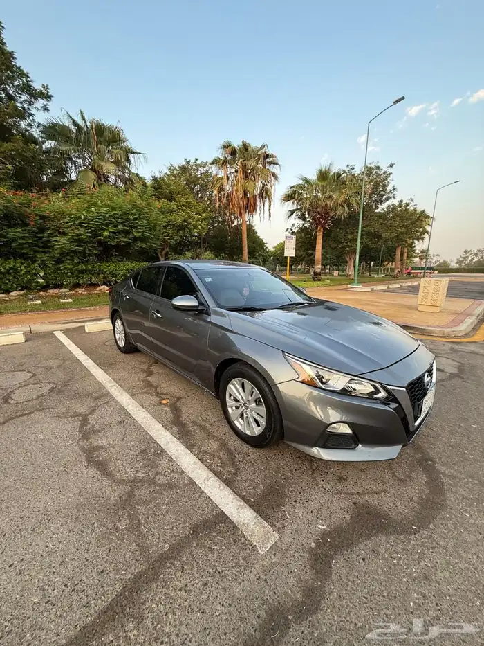 التيماء 2019 1