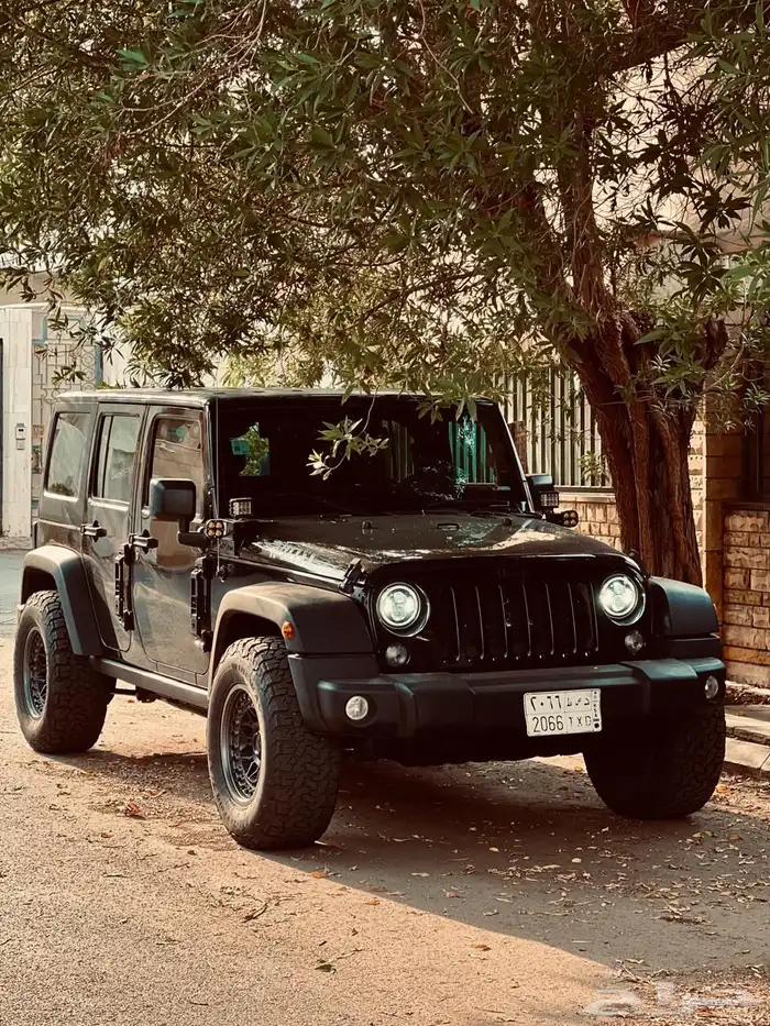 جيب رانجلر ويلز مديل 2018 0