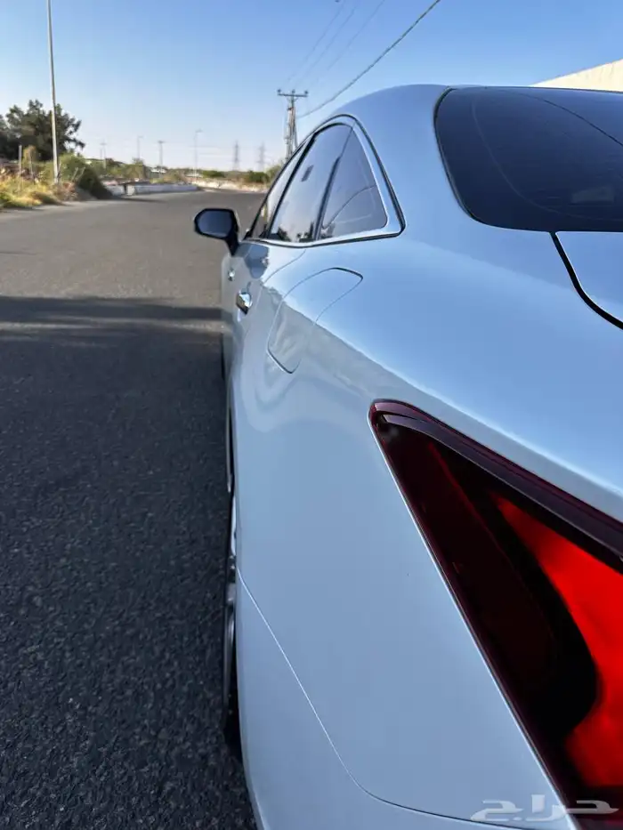 افالون تورنق 2021 بدي بلد 12