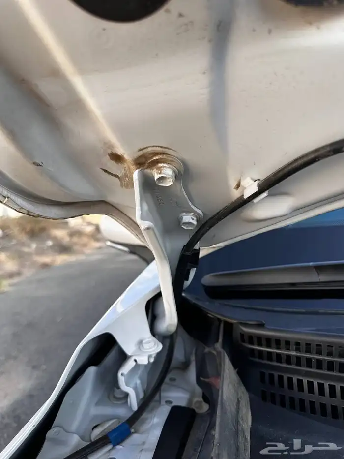 افالون تورنق 2021 بدي بلد 27